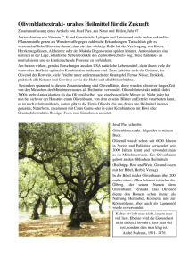 Olivenblattextrakt- heilmittel fr die Zukunft - oliven-baum