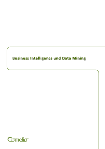 Business Intelligence und Data Mining