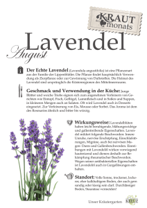 Lavendel - Hotel Kreuz – Mattenhaus