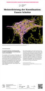 Plakatserie A - Neuroscience Network Basel