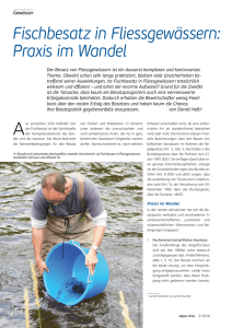 Fischbesatz in Fliessgewässern: Praxis im Wandel