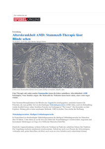 AMD: Stammzellentherapie