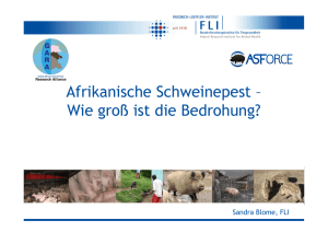 Afrikanische Schweinepest – Wie groß ist die Bedrohung?
