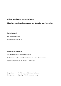 Video Marketing im Social Web Eine konzeptionelle Analyse am