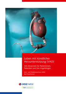 Leben mit künstlicher Herzunterstützung (VAD) - Herz