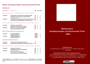 Masterstudium Sozialpsychologie und psychosoziale Praxis (MSc)