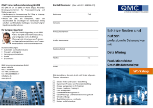 Flyer Data Minig - QMC Unternehmensberatung