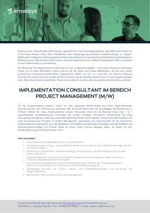 implementation consultant im bereich project