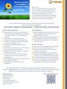 Consultant Software Development – C#/VB.net oder Java