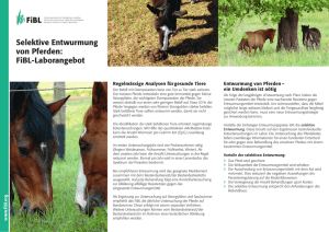 Selektive Entwurmung von Pferden: FiBL
