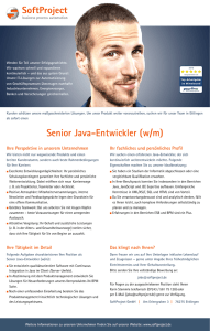 Senior Java-Entwickler (w/m)
