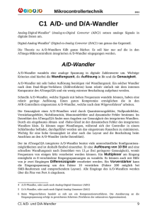 C1 A/D- und D/A-Wandler