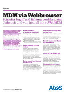 Factsheet MDM via Webbrowser
