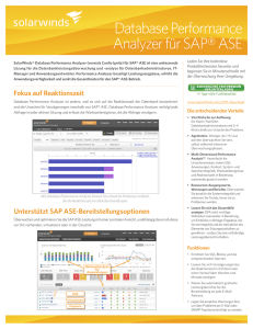 Database Performance Analyzer für SAP® ASE