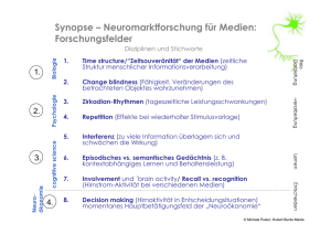 Synopse – Neuromarktforschung für Medien