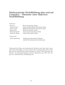 Mathematische Modellbildung ohne und mit Computer – Elemente