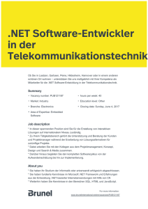 .NET Software-Entwickler in der Telekommunikationstechnik