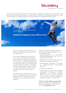 Software Engineer Java/JEE (w/m) - Bluesky IT