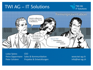 TWI AG – IT Solutions