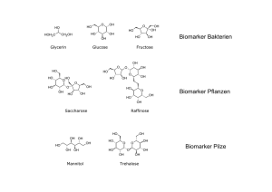 Biomarker Pilze Biomarker Bakterien Biomarker Pflanzen