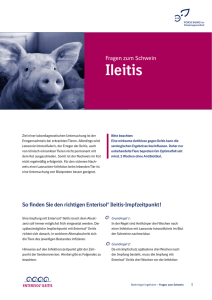 Ileitis - Pigpool
