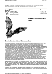 Fledermäuse brauchen Hilfe - Bund Naturschutz Landshut