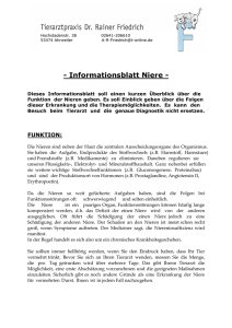 Informationsblatt Niere - Tierarztpraxis Dr. Friedrich