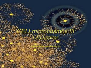 CELLmicrocosmos III CELLeditor