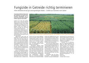 Fungizide in Getreide richtig terminieren