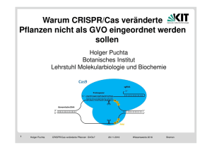 A3, Puchta: Genome Editing bei Pflanzen