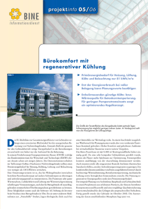 BINE-Projektinfo 05/2006 - BINE Informationsdienst