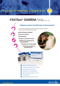 FASTest® GIARDIA Strip - MEGACOR Diagnostik GmbH