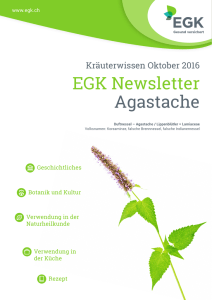 EGK Newsletter Agastache