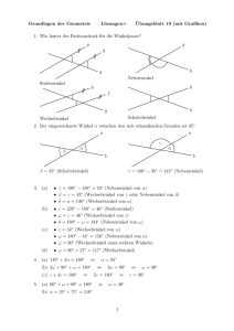 Grundlagen der Geometrie Lösungen+ ¨Ubungsblatt 19 (mit