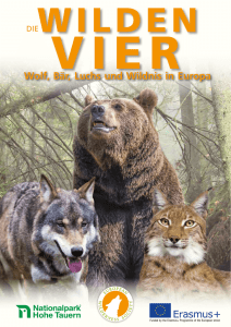 Wolf, Bär, Luchs und Wildnis in Europa
