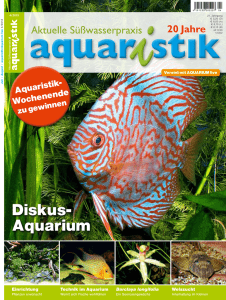 Diskus- Aquarium - Diskuszucht Stendker