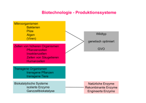 Biotechnologie - Produktionssysteme