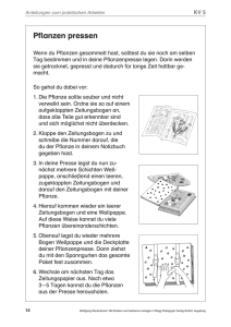 Pflanzen pressen - Bildungsverlag Lemberger