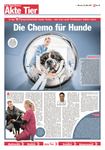 Die Chemo fuer Hunde - Tierklinik Ismaning