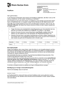 Kopflausbefall Elternbrief Deutsch - Rhein-Neckar