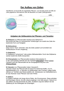 AB Aufbau der Pflanzenzelle und Aufgaben der Zellbausteine…