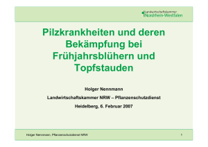 Fungizide Frühjahrsblüher Heidelberg 2007 - premium