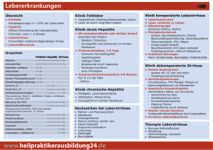 PDF Lebererkrankungen - Heilpraktikerausbildung24