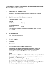 Ursofloxacin 10% - Serumwerk Bernburg AG