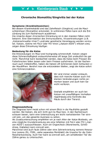 Chronische Stomatitis/Gingivitis bei der Katze