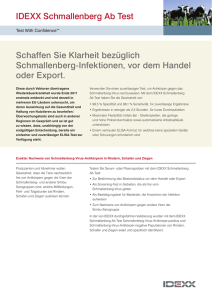 Schmallenberg Ab Test Informationsbroschüre