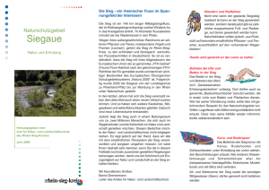 Faltblatt: Natur und Erholung an der Sieg (pdf - Rhein-Sieg