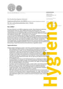 Wordvorlage mit Siegel - Medizinische Fakultät Heidelberg