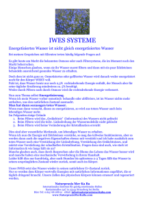 iwes systeme