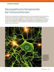 Neuropathische Komponente bei Tumorschmerzen